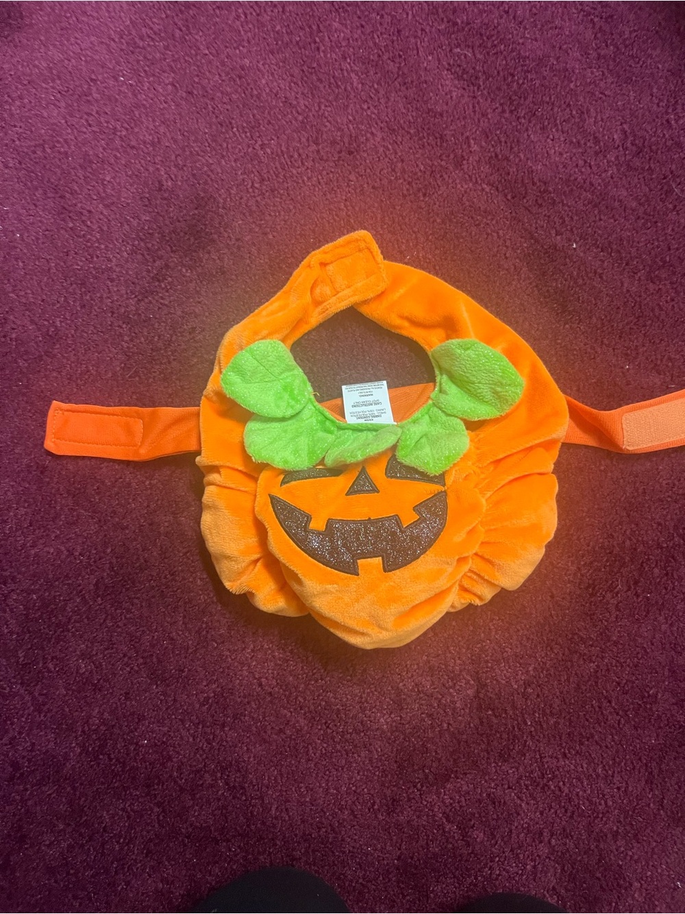 Dog Pumpkin Costume